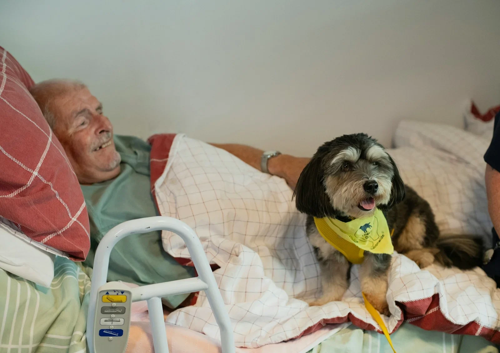 Elderly man and dog in bed